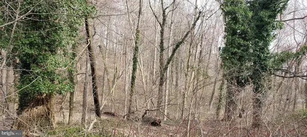 4200 Chesapeake Ave, CHESAPEAKE BEACH, MD 20732