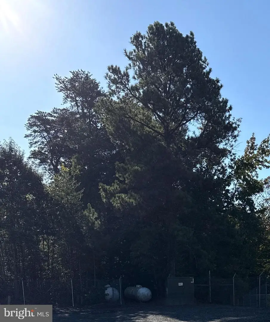 12890 Hg Trueman Rd, Lusby, MD 20657 - #1