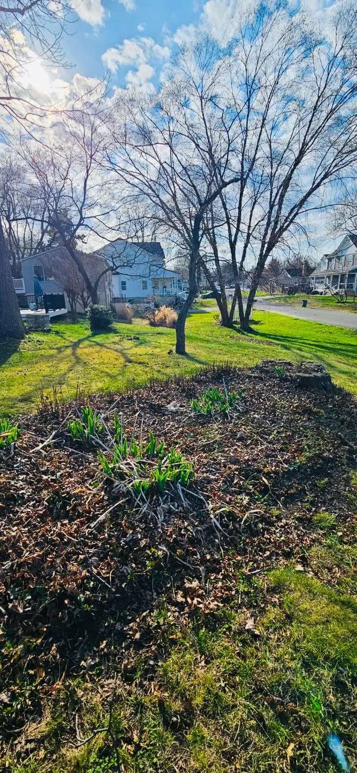 8314 Bayside Rd, Chesapeake Beach, MD 20732 - #2