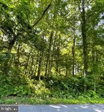 4345 Flora Ave, PRINCE FREDERICK, MD 20678