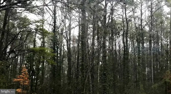 215 Lessin Dr, LUSBY, MD 20657