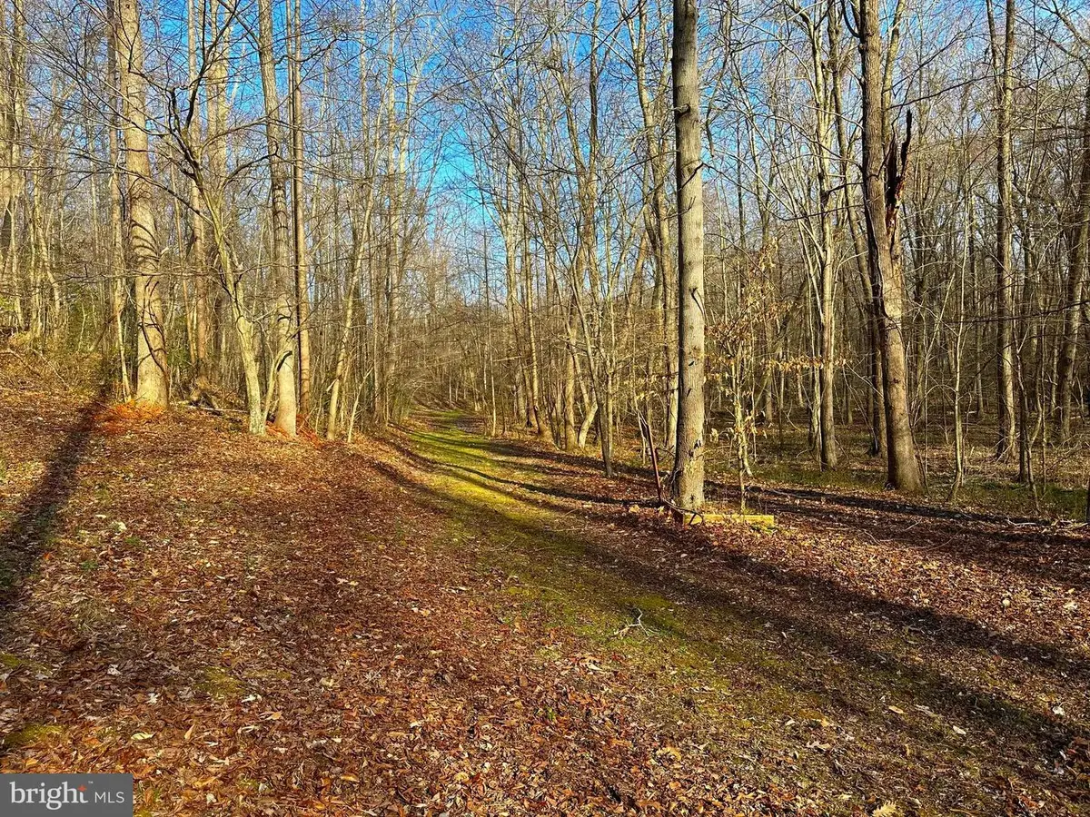 Lot 30 A, Block 6, 18th Street, Chesapeake Beach, MD 20732 - #1