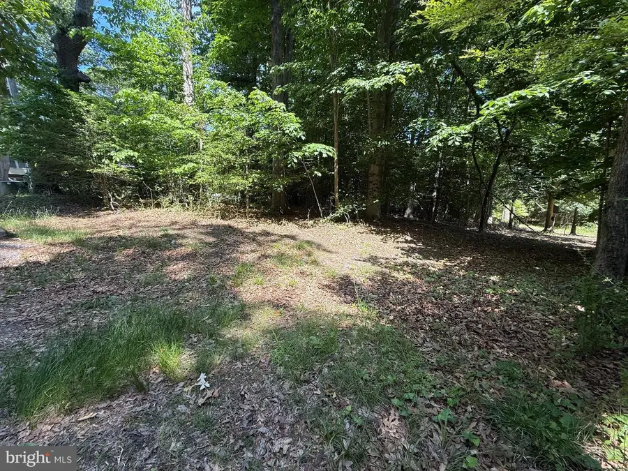 12661 Holly Cir, Lusby, MD 20657 - #2