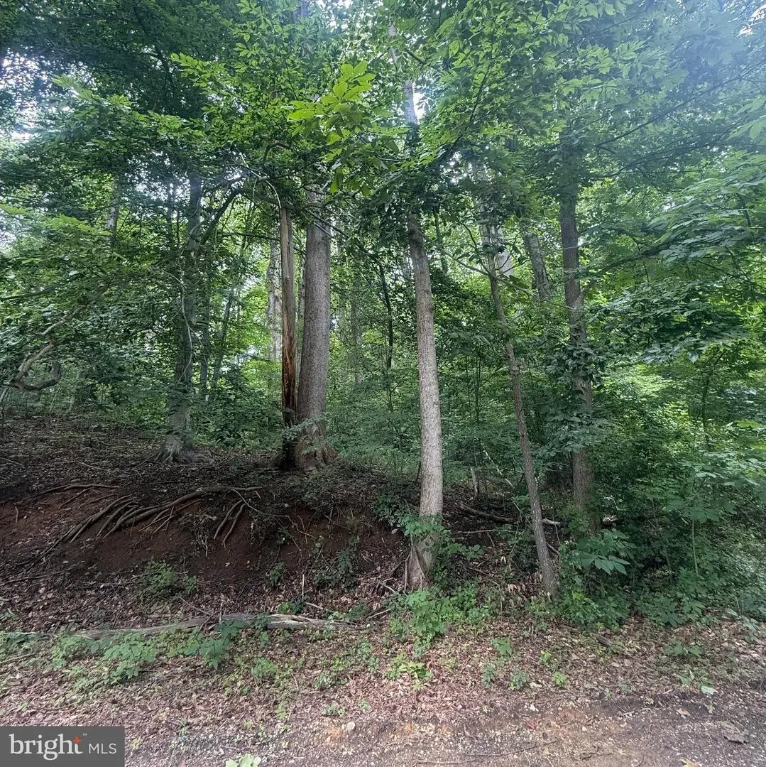 4400 Woodview Ln, Prince Frederick, MD 20678 - #1
