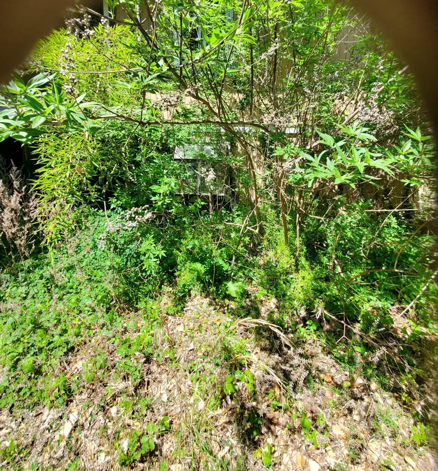 3317 North Ave, Port Republic, MD 20676 - #2