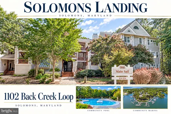 1102 Back Creek Loop #1102, SOLOMONS, MD 20688