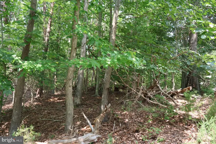 Address Withheld By Seller, Lusby, MD 20657 - #3