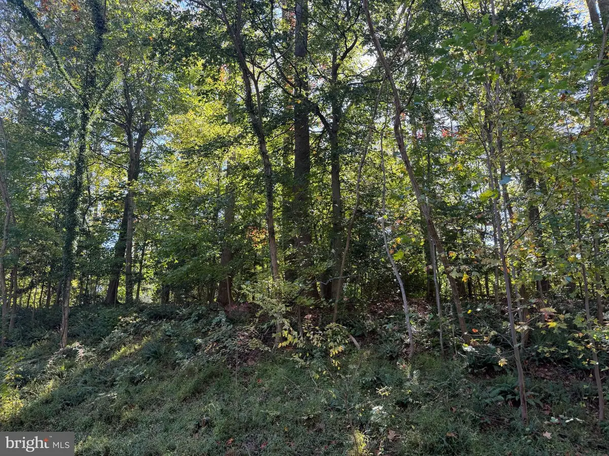 920 Outer Pl, Lusby, MD 20657 - #1
