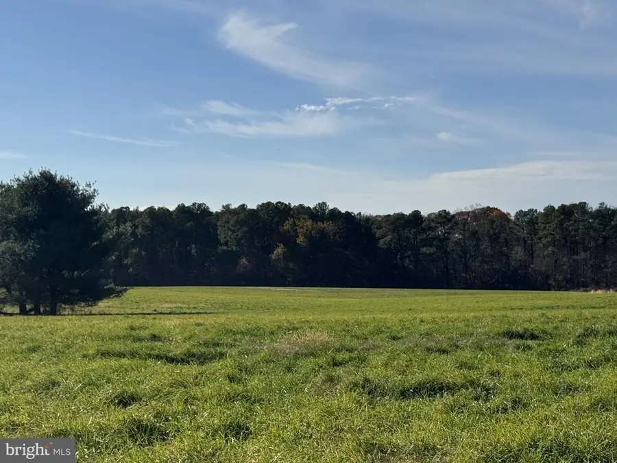 1191 Old Telegraph Rd, Warwick, MD 21912 - Image #2