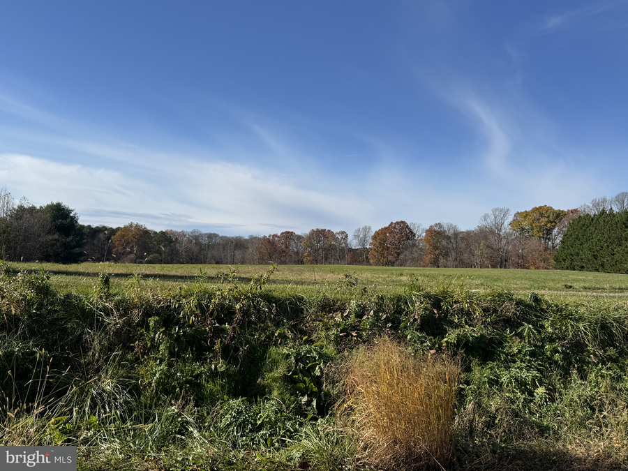 1191 Old Telegraph Rd, Warwick, MD 21912 - Image #3