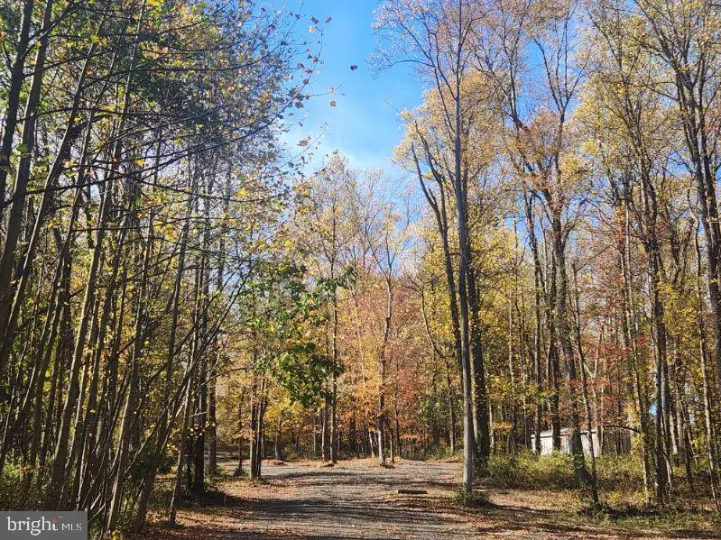 Lot 3 Mullins Ct, Rising Sun, MD 21911 - Image #3