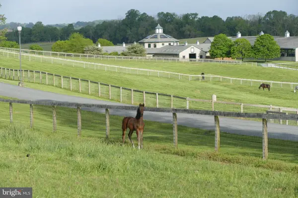 1089 Nesbitt Rd, COLORA, MD 21917