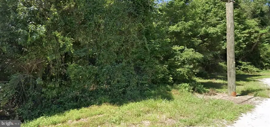 101 Cox Ln, Elkton, MD 21921 - #2