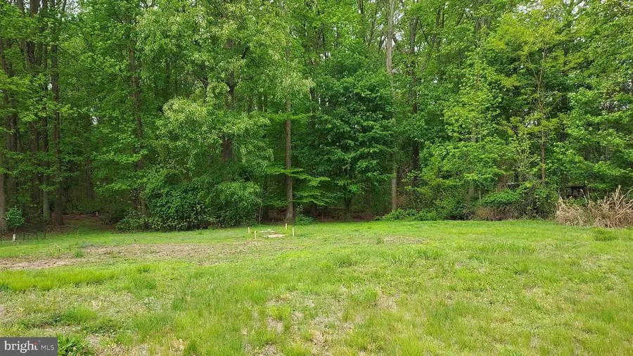 395 Hazelmoor Dr, Earleville, MD 21919 - #2