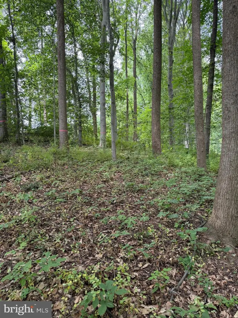 Ragan Rd, Conowingo, MD 21918 - #2