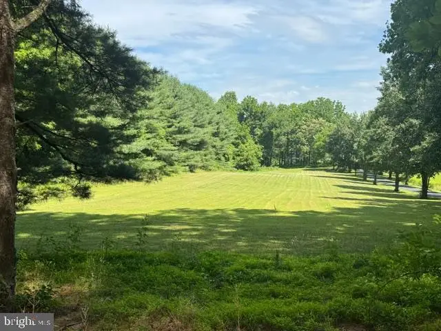 Mccauley Rd, Conowingo, MD 21918 - #1