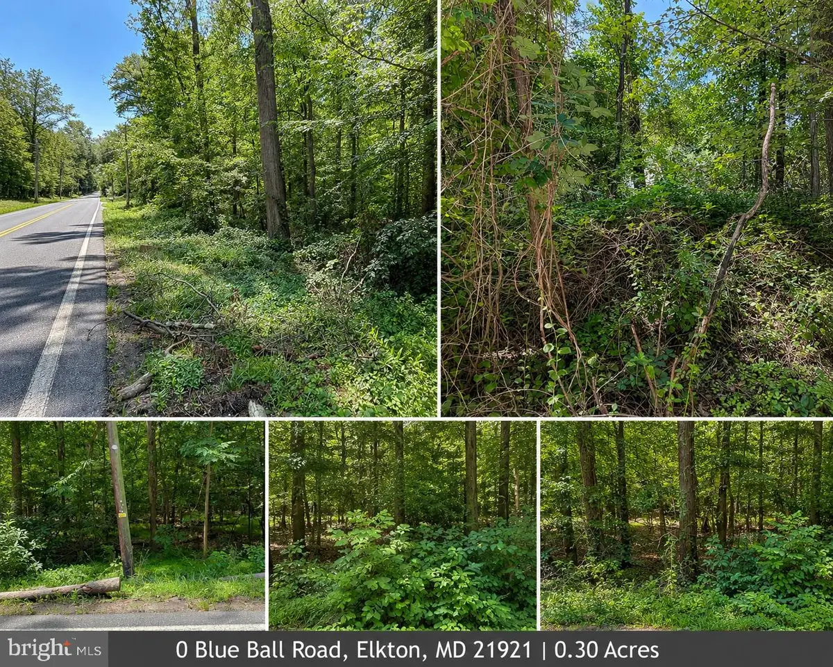 0 Blue Ball Rd, Elkton, MD 21921 - #1