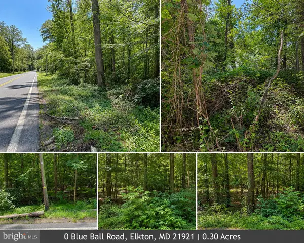 0 Blue Ball Rd, ELKTON, MD 21921