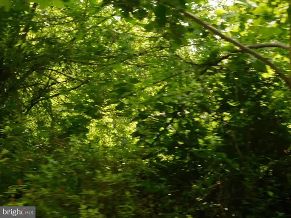 Pinewood Rd #lot #9, EARLEVILLE, MD 21919