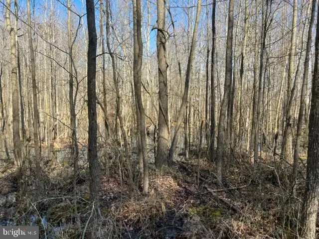 #3