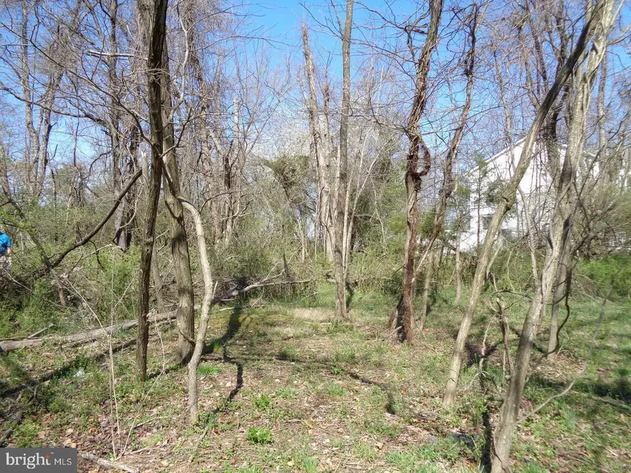 12355 Potomac View Drive, Newburg, MD 20664 - Image #2