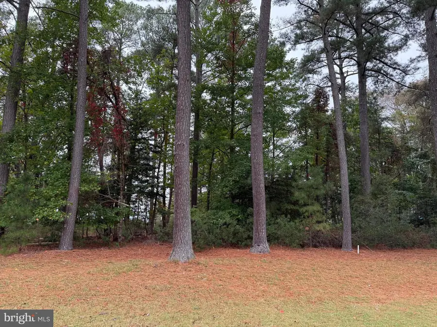 14975 Persimmon Ct, Issue, MD 20645 - Image #2