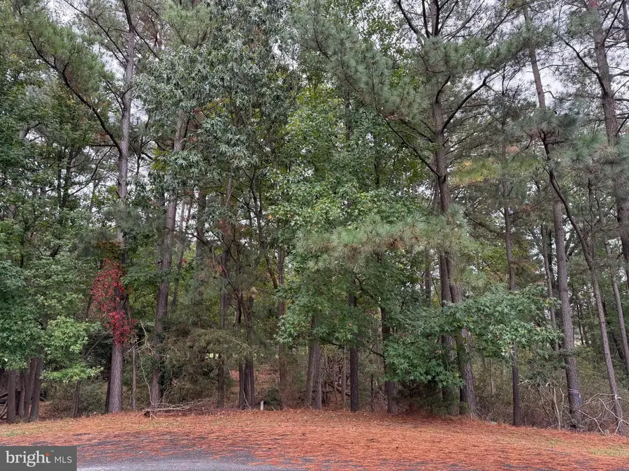 14975 Persimmon Ct, Issue, MD 20645 - Image #3