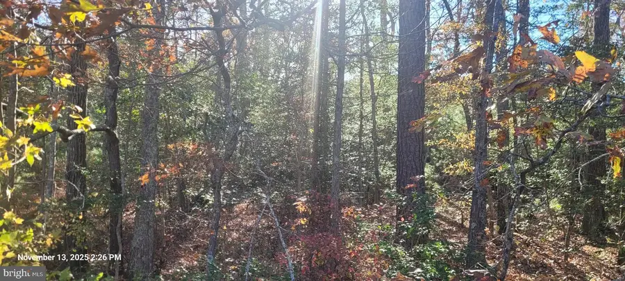 Rock Point, Newburg, MD 20664 - Image #3