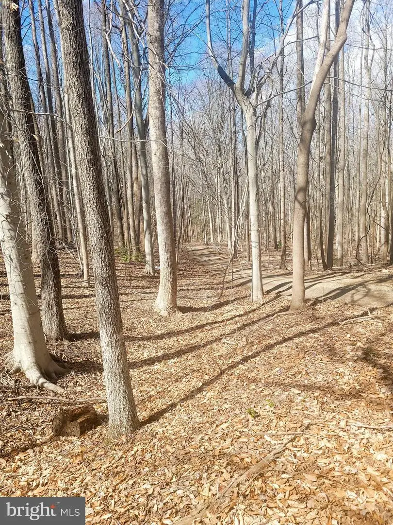 Charlie Bills Place, Indian Head, MD 20640 - Image #3