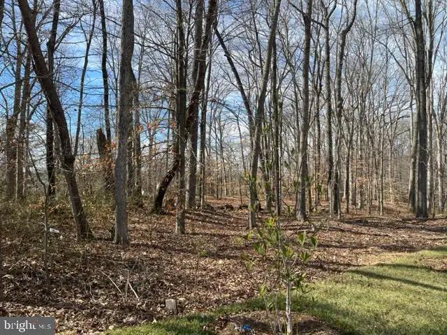 Farragut Dr, Bryans Road, MD 20616 - Image #3