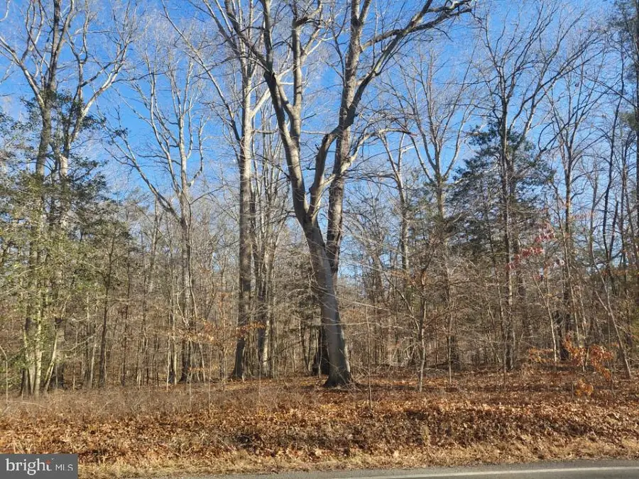 7060 Annapolis Woods Rd, La Plata, MD 20646 - #2