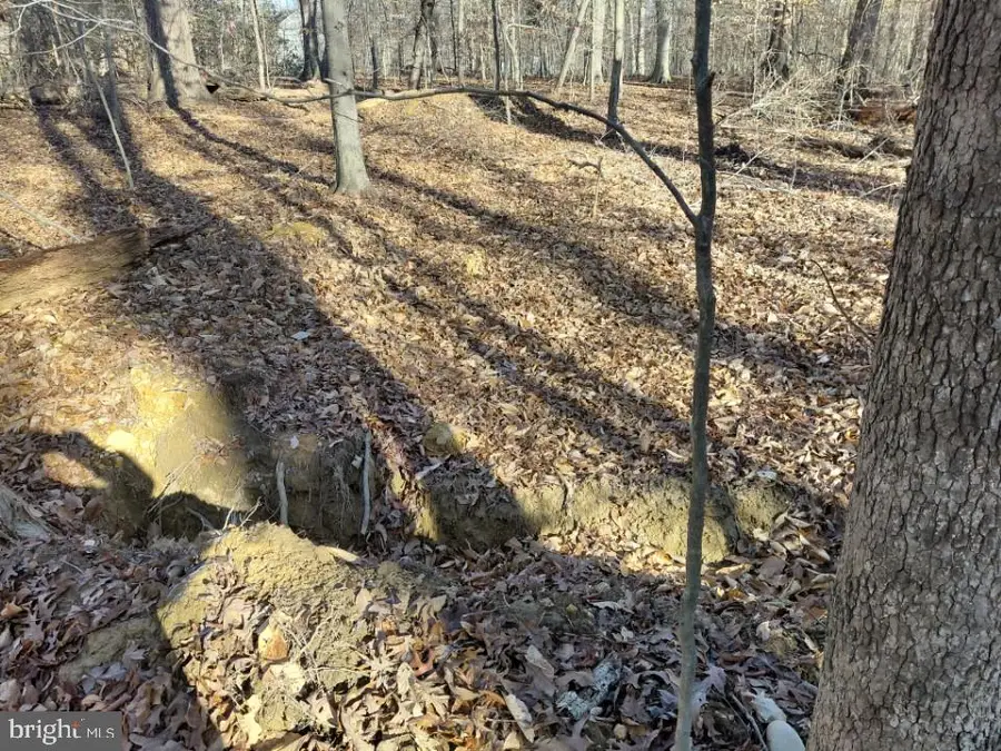 7060 Annapolis Woods Rd, La Plata, MD 20646 - #3