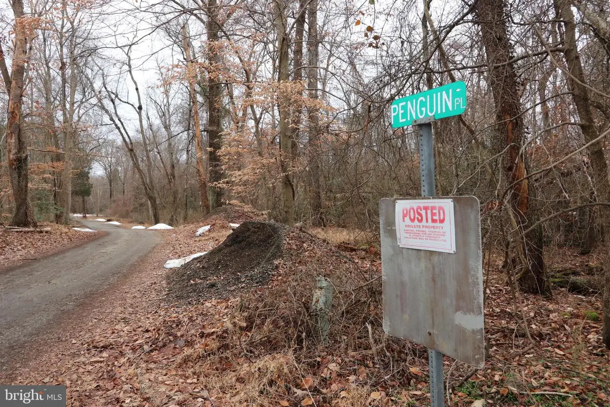 Lots 2-6 And 11-16 Penguin Pl, Bryans Road, MD 20616 - #1