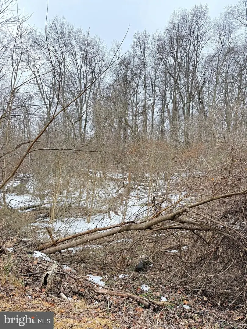 Parker Harley Pl, Indian Head, MD 20640 - #1