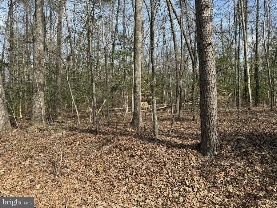 Lot 9a Park Ave, White Plains, MD 20695 - #2