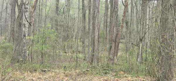 Keech Rd, CHARLOTTE HALL, MD 20622