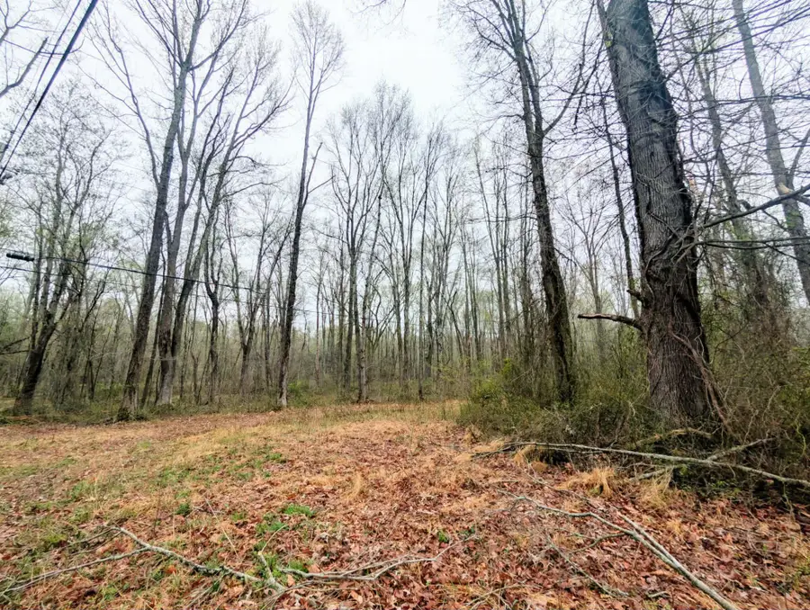 Keech Rd, Charlotte Hall, MD 20622 - #3