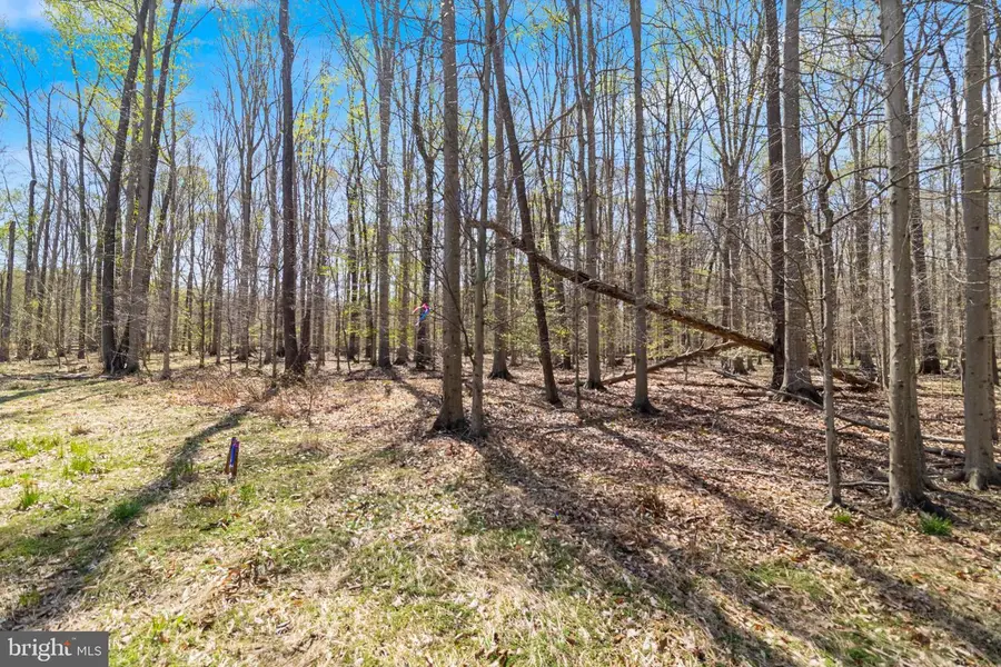 Lot 14 Billingsley Rd, White Plains, MD 20695 - #3