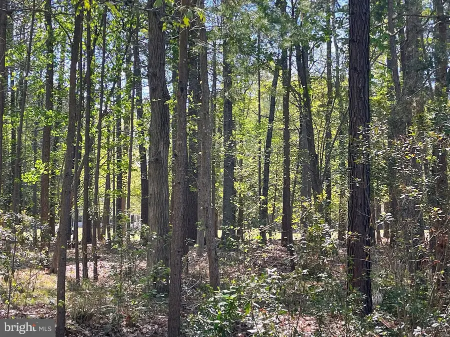 11235 Annabelle Dr, Issue, MD 20645 - #2