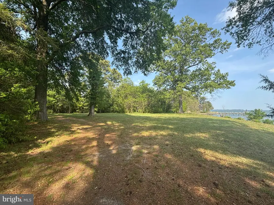 15567 Potomac River Dr, Cobb Island, MD 20625 - #3