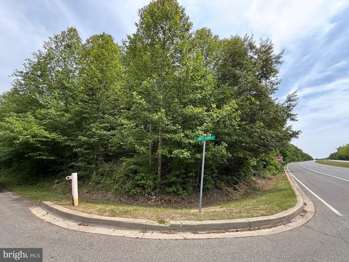 4920 Sweet Corn Pl, Waldorf, MD 20602 - #1