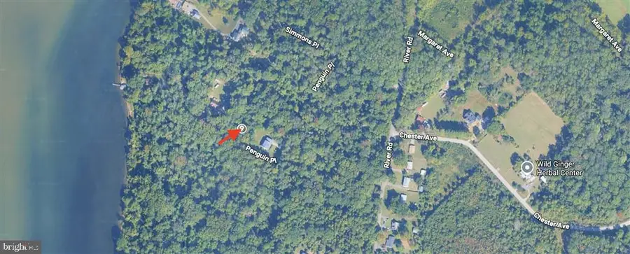 Penguin Pl, Bryans Road, MD 20616 - #2