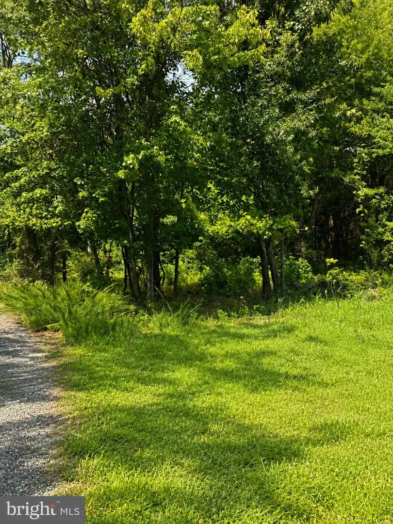 193-e Davis Rd, Waldorf, MD 20601 - #2