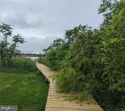 11770 Over Creek Ct, Issue, MD 20645 - #3