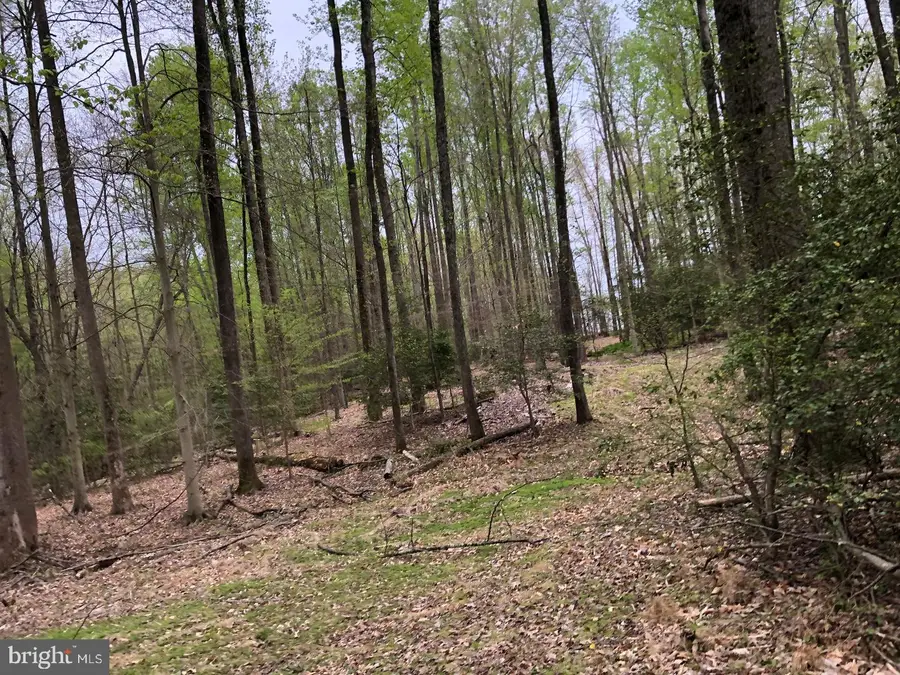 9045 Genevieve Dr, White Plains, MD 20695 - #2