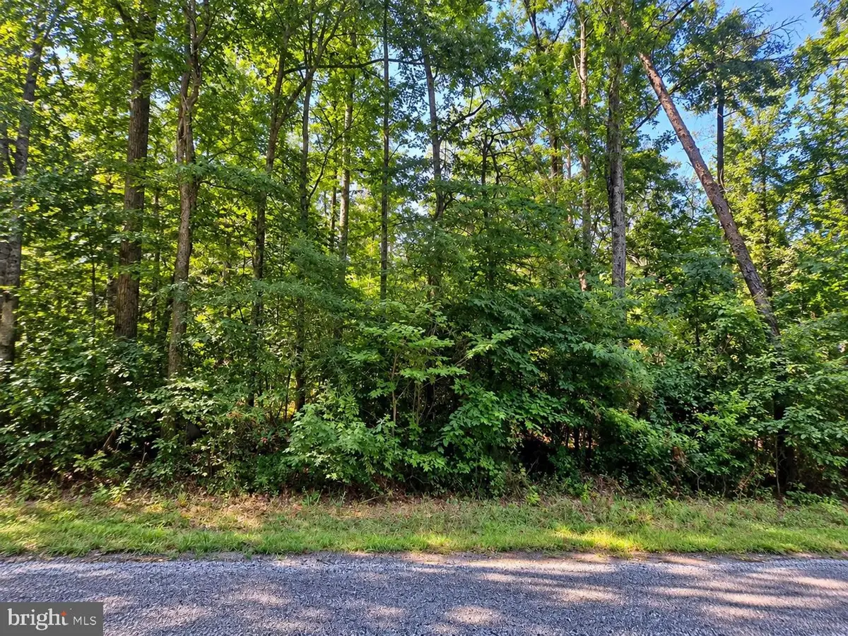 Poseytown Rd, Nanjemoy, MD 20662 - #1