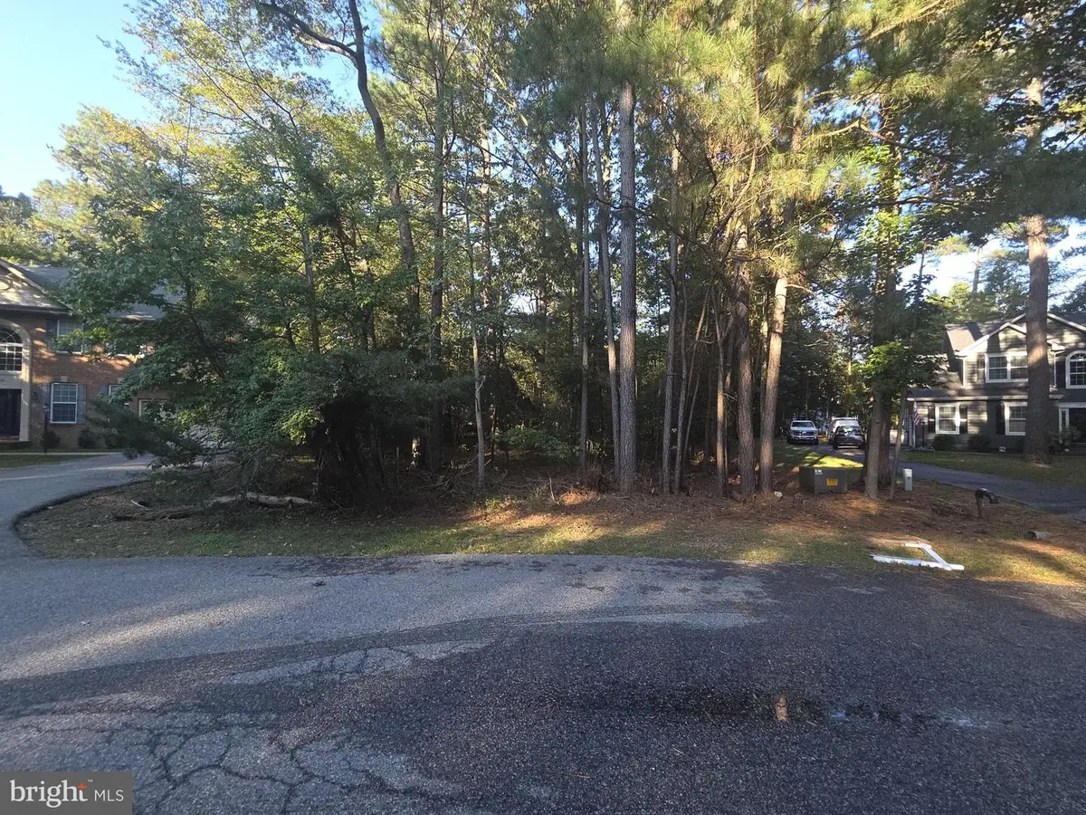 14840 Buckingham Ct, Issue, MD 20645 - #1
