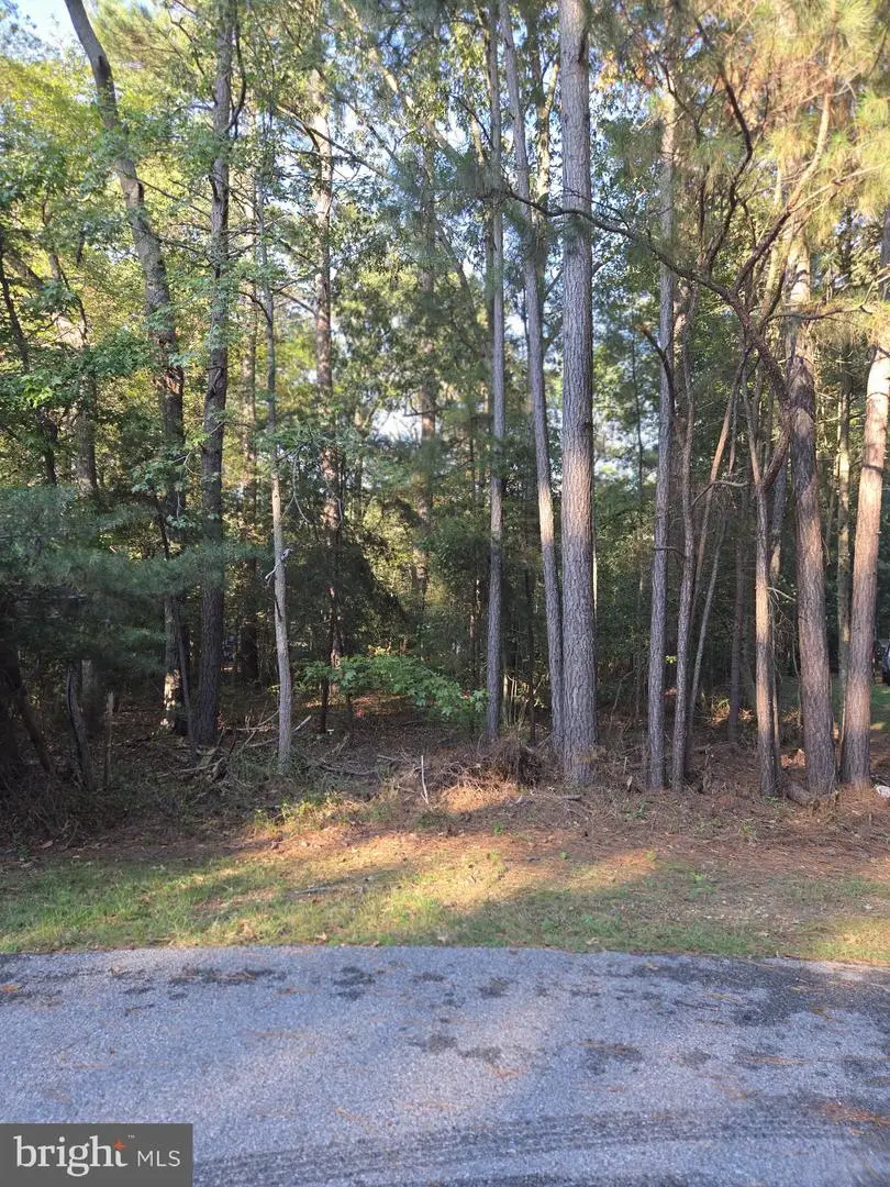 14840 Buckingham Ct, Issue, MD 20645 - #2