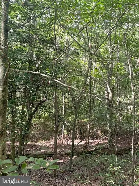 #2
