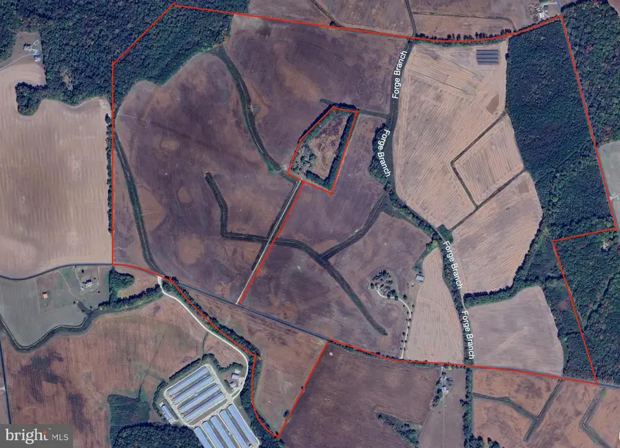 25056 E Cherry Ln, Greensboro, MD 21639 - Image #2